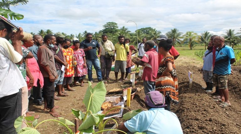 Sustainable Agriculture in Papua New Guinea
